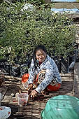 Tonle Sap - Prek Toal floating village  - every day life